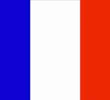 Ce au brațele și steagul Franței