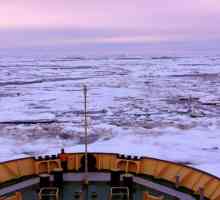 Marea Chukchi - fosta Beringia
