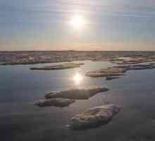 Marea Chukchi: salinitate și temperatură