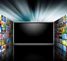 Digital TV `Beeline`: lista, recenzii și conectivitate