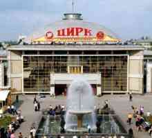 Circul din Saratov: istorie, factura de vară, cumpărarea de bilete