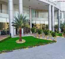 Crown Palace Hotel Ajman 3 * (Emiratele Arabe Unite / Ajman): opinii și evaluări