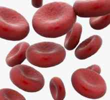 Indicele de culoare sanguină: concept, calcul și interpretare a rezultatelor