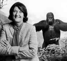Diane Fossey: fotografie, biografie, lucrări științifice
