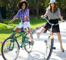 Bicicletă pentru femei: specificații, mărci