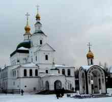 Manastirea Danilov din Moscova. Manastirea Stauropegala Danilov