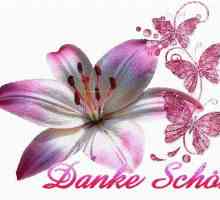 `Danke shon`: traducere din limba germană și exemple de utilizare