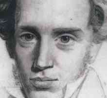 Filosoful danez Kierkegaard Seren: biografie, fotografie