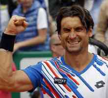 David Ferrer: jucător de tenis cu caracter de fier