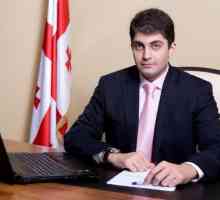 David Sakvarelidze este un avocat georgian care visează să schimbe Ucraina