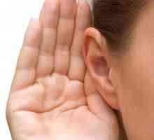 Prese pe urechi din interior: cauze și tratament. A pus o ureche - ce să facă sau să facă în casă