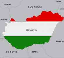 Деятельность консульства Венгрии в Москве