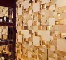 Panouri decorative pentru decoratiuni interioare de pereti: lemn, plastic, ghips (fotografie)