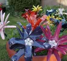 A face flori pentru o grădină de sticle de plastic este ușor și simplu
