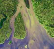 Delta râului este un ecosistem special