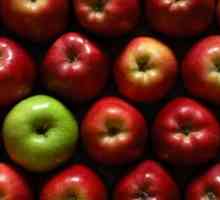 Ziua mărului este povestea apariției și scenariului matineei