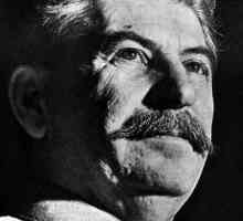 Ziua de naștere a lui Stalin - pentru bucuria comuniștilor, pentru tristețea oamenilor
