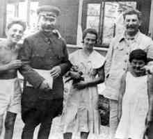 Copiii lui Stalin: soarta lor, viața personală, fotografia