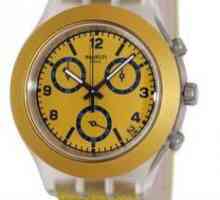 Ceasuri Swatch - marca elvețiană