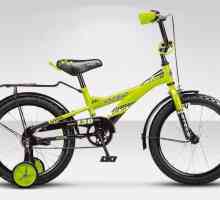 Biciclete pentru copii Stels: opinii, modele, specificații și recenzii