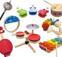 Instrumente muzicale pentru copii - jucării muzicale pentru copii