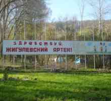 Tabăra de sănătate pentru copii `Zhigulevsky Artek` din Samara (Molodetsky Kurgan):…