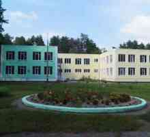 Sanatoriu pentru copii `Royka`: actualizare și descoperire