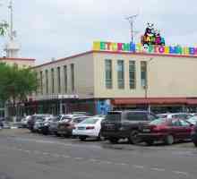 Centrul comercial pentru copii `Panda-City` pe Kolomenskaya: magazine și fotografii