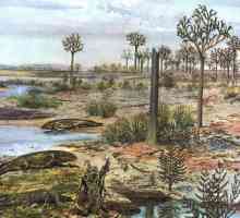 Perioada devoniană a epocii paleozoice