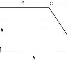 Diagonala unui trapez echilateral. Care este linia medie a trapezoidelor. Tipuri de trapez. Trapeza…