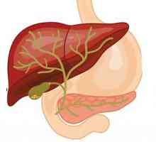 Dieta în caz de boală hepatică și pancreatică