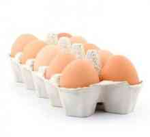 Dietul de ou al lui Usama Hamdi pentru pierderea efectivă în greutate