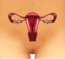 Diagnosticarea permeabilității trompelor uterine. Cum procedează?