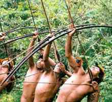 Triburile sălbatice ale Amazonului. Viața modernă a triburilor amazoniene