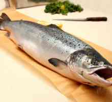 Salmon somon: descriere, caracteristici, proprietăți și cele mai bune rețete
