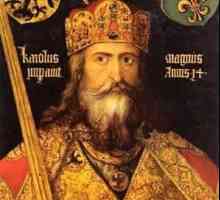 Dinastia carolingienilor sunt conducători sau uzurpatori?