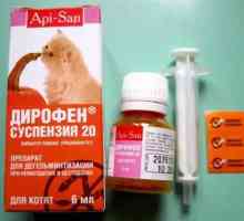 Dirofen (suspensie): preparat antihelmintic pentru animale