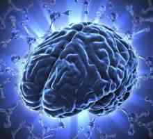Disfunctia encefalopatiei: ce este? Cauzele și simptomele bolii