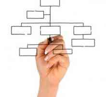 Structura organizatorică divizată a întreprinderii