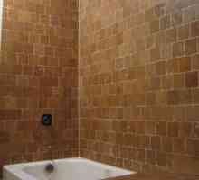Design interior de baie: idei, selecție de stil, recomandări