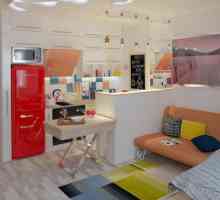 Design de apartament cu o cameră: compartiment pentru zonare cameră, mobilier, colț pentru copii