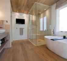 Designul de baie este modern: idei de decorare a unei băi mari și mici