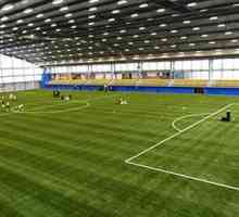 Lungimea terenului de fotbal, lățimea, acoperirea cu iarbă - cerințe pentru arene