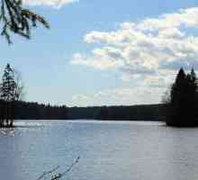 Long lake, regiunea Leningrad: descriere, odihnă, pescuit