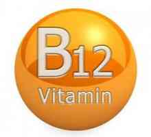 Ce este Vitamina B12, de ce ajuta?