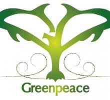 Pentru ce este Greenpeace? Organizația internațională Greenpeace