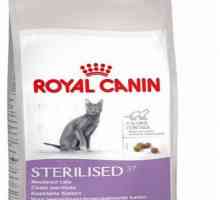 Pentru pisicile castrate "Royal Canin": principalele caracteristici și recenzii
