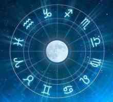 Pentru cei care caută asemănări în semnele zodiacului: calități care unesc oameni diferiți