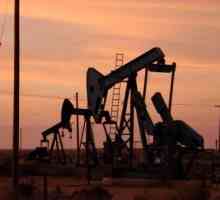 Producția de petrol și importanța acesteia pentru economia globală