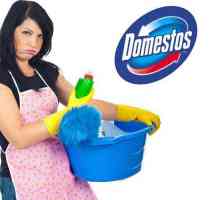 `Domestos`: instrucțiuni de utilizare și sfaturi despre curățenia ideală în casă